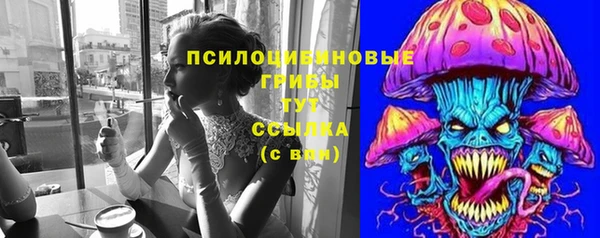 тгк Арсеньев