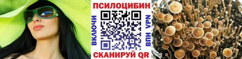 Псилоцибиновые грибы GOLDEN TEACHER  Купить где  Сычёвка 