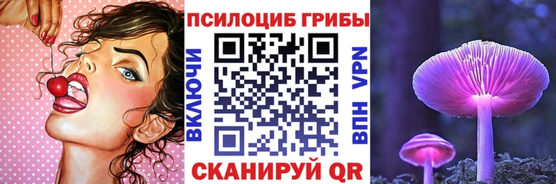 Галлюциногенные грибы Cubensis Сычёвка